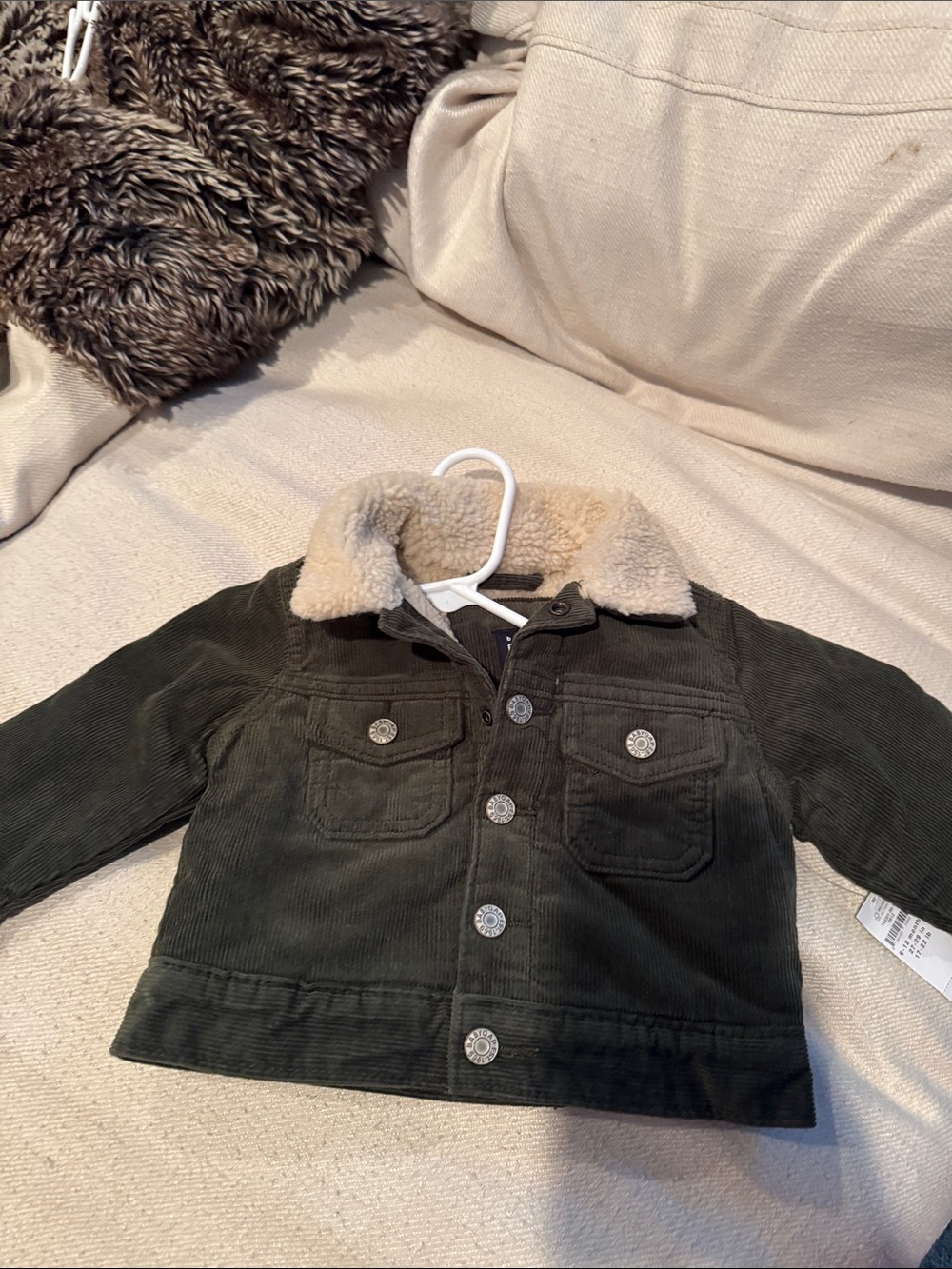 GAP Olive Green Corduroy Jacket with Cream Sherpa Collar